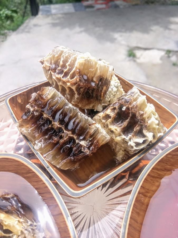 Проживание в семье Beehives Кутаиси-28
