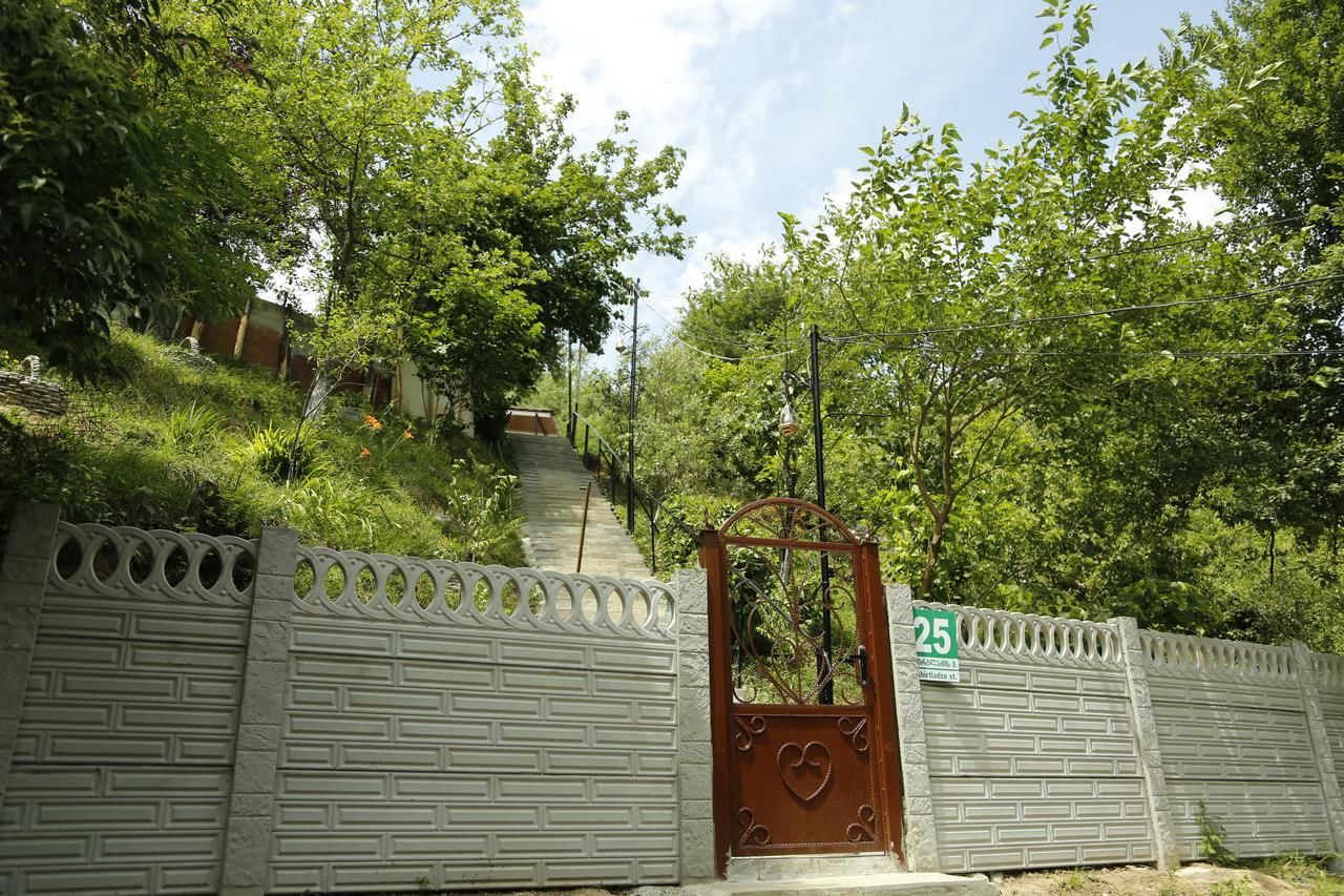 Проживание в семье Beehives Кутаиси-7