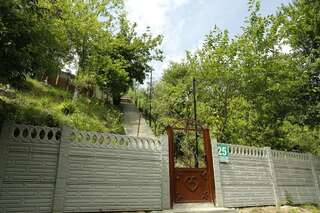 Проживание в семье Beehives Кутаиси-3