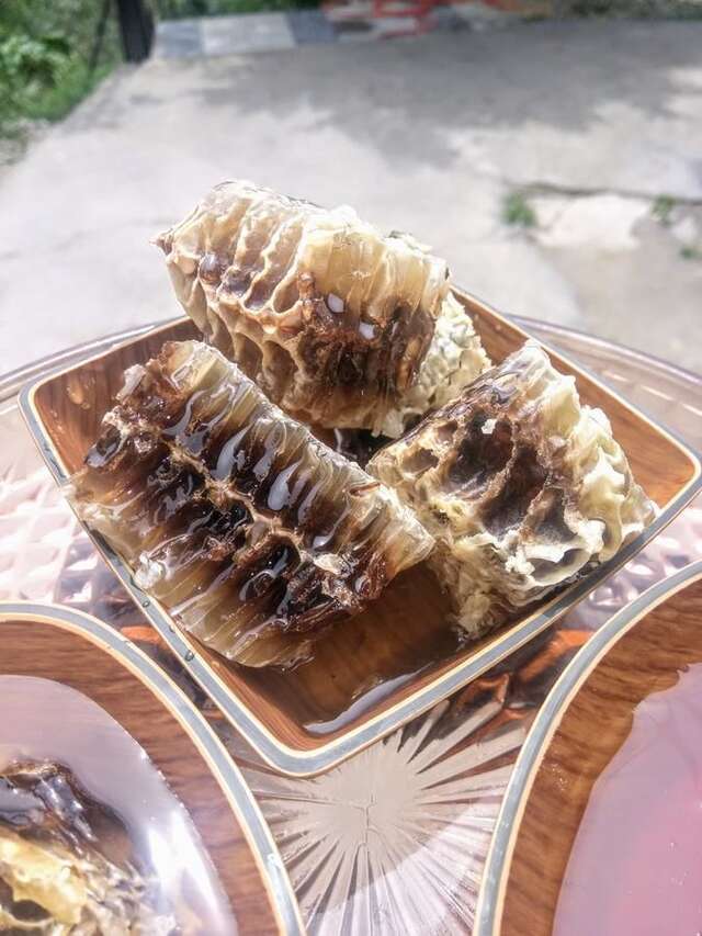 Проживание в семье Beehives Кутаиси-27