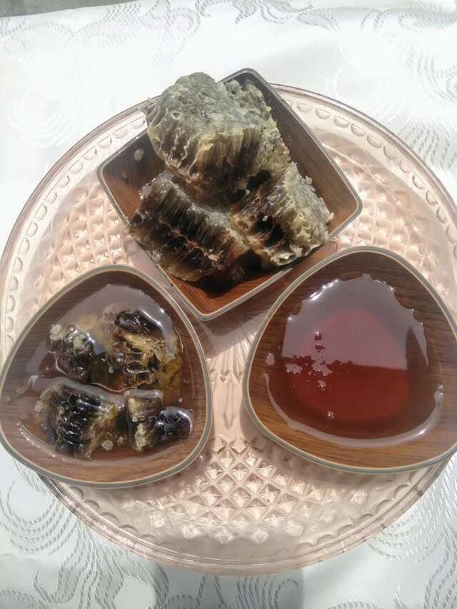 Проживание в семье Beehives Кутаиси-28
