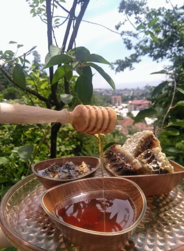 Проживание в семье Beehives Кутаиси-30