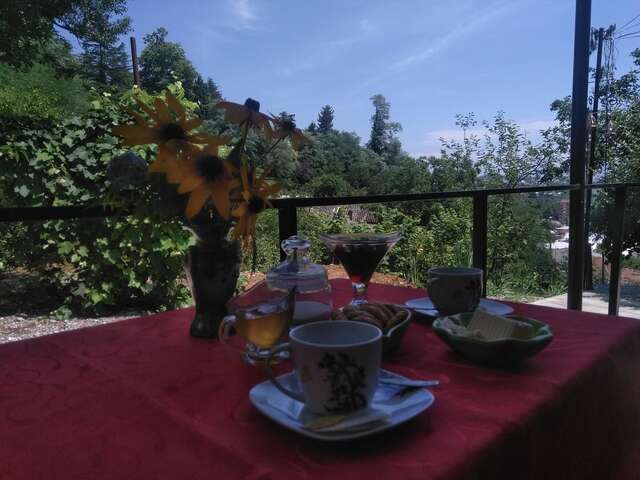 Проживание в семье Beehives Кутаиси-32