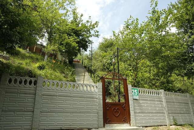 Проживание в семье Beehives Кутаиси-6